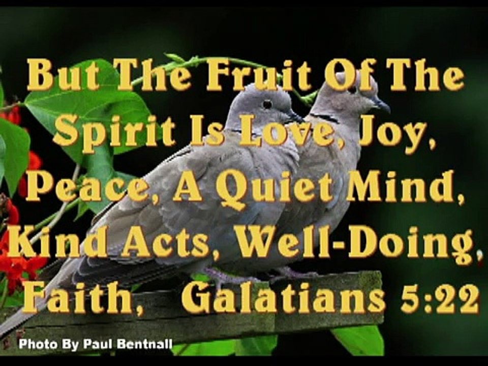 Bible Verses About Love | Inspirational Bible Verses LOVE | (Bible Verse About Love)