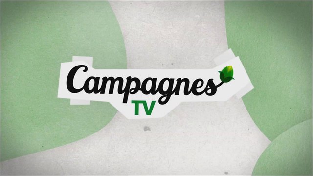 Emission : Du champ au fourneau Carotte - Campagnes TV - Interfel