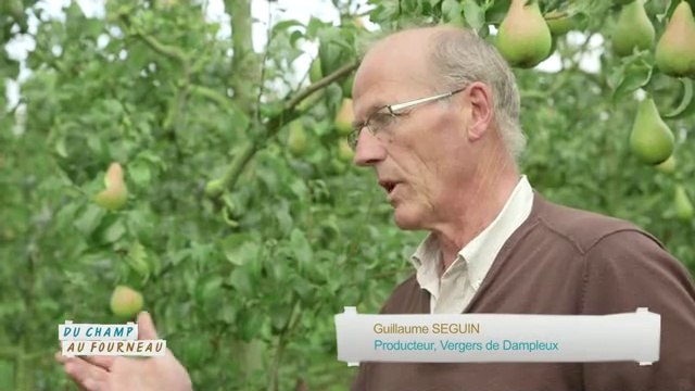Guillaume Seguin : producteur de poires (Emission : Du champ au fourneau - Campagnes TV - Interfel)