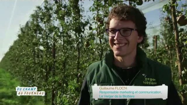 M. Floch : producteur des poires (Emission : Du champ au fourneau - Campagnes TV - Interfel)