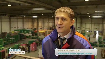Pierre-Yves Anthouard : responsable agréage (Emission : "Du champ au fourneau" - Campagnes TV - Interfel)