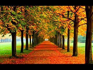 스타배팅@@ I M A 3 3 . C O M @@네임드게임