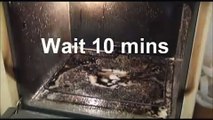 The Cleaning Expert Oven Cleaning Experiment