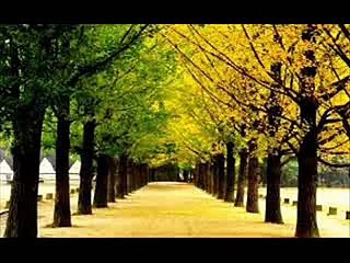 베팅승무패@@ I M A 3 3 . C O M @@프리미어리그