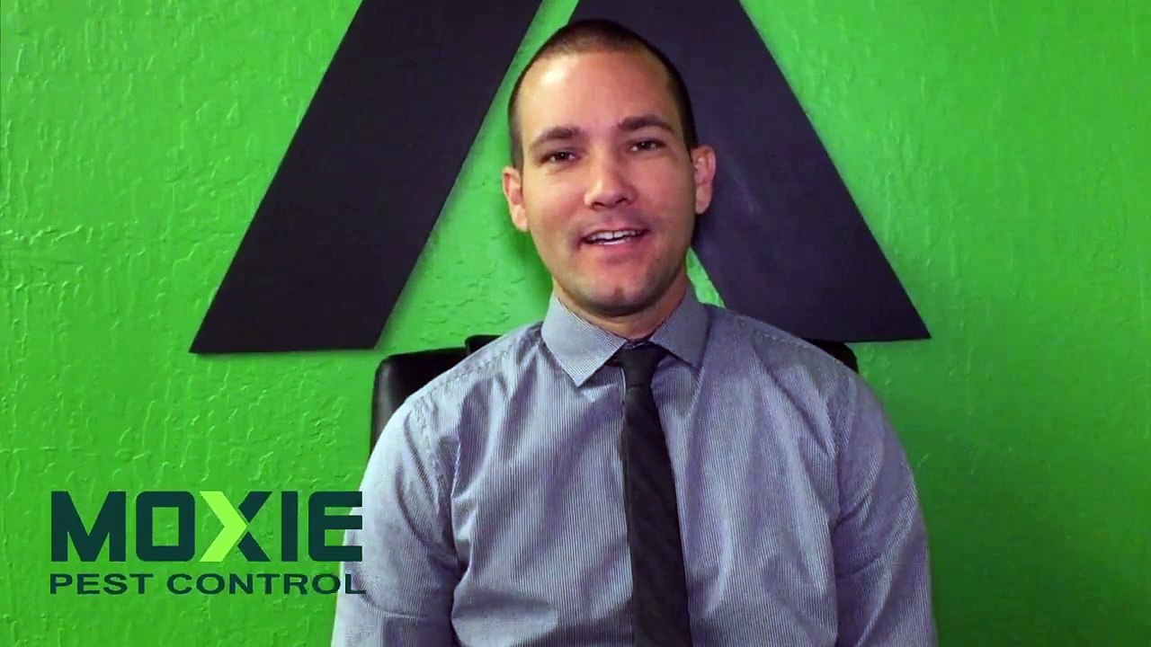 Moxie Pest Control - Phoenix Exterminator
