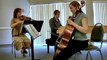 Boston University Trio  -- Sonata VI, op. 9 (Abel)