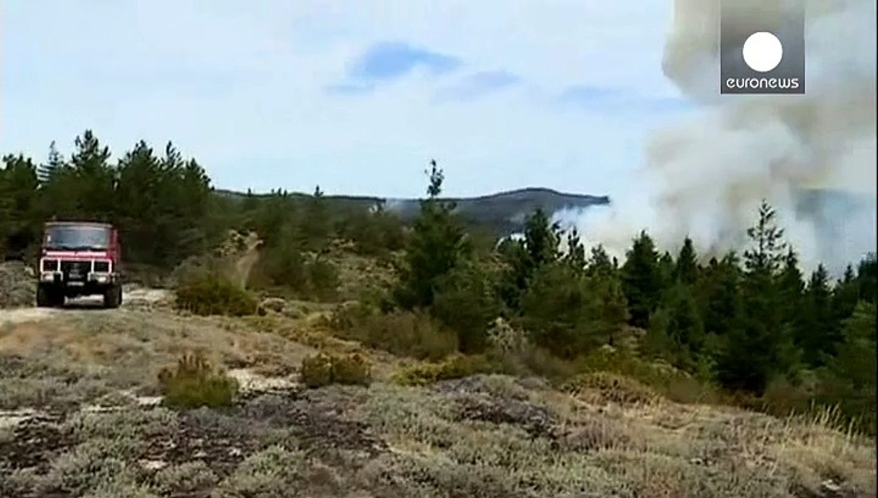В Португалии борются с лесными пожарами