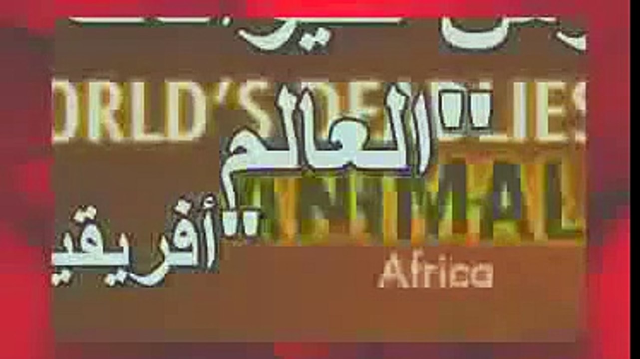 Animals Documentary - ¡¡Africa Animals eXtreme!! - WILD National Geographic