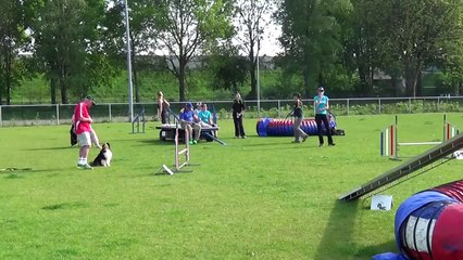 Dog Race Competition # Part - IX