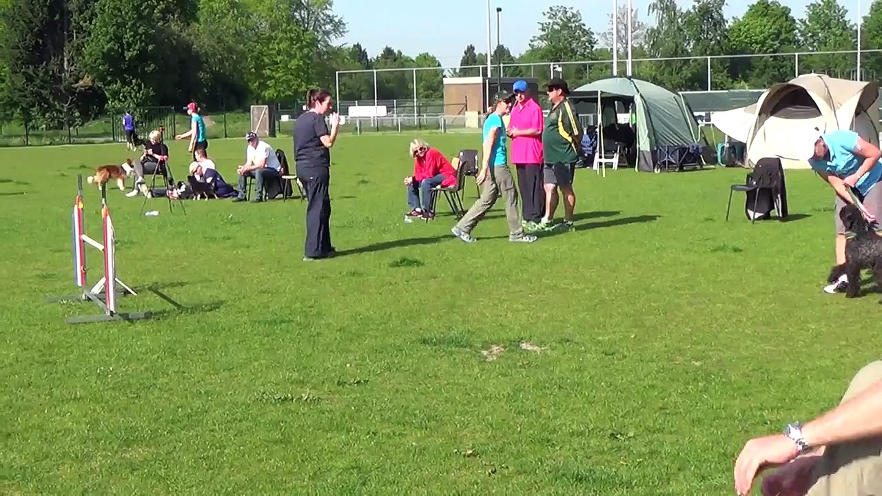 Dog Race Competition # Part - VI