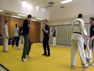 "Street Effective" Hapkido: Joint locks & Pressure Points