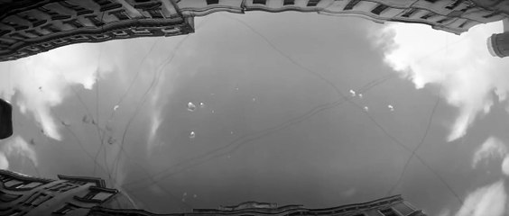 Dons - Darling, Darling