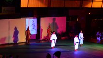 Demonstration Karaté au Gala d'Arts Martiaux Geisha et Samourai