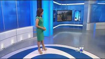 pit bull kills 2 months old baby, family pit bull nanny dog