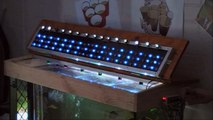 Part2 DIY LED Aquarium Lighting & RGB Dimmer-2nd BOX FIXTURE