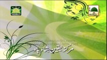 Qaumi Tarana Pakistan Full - National Anthem of Pakistan