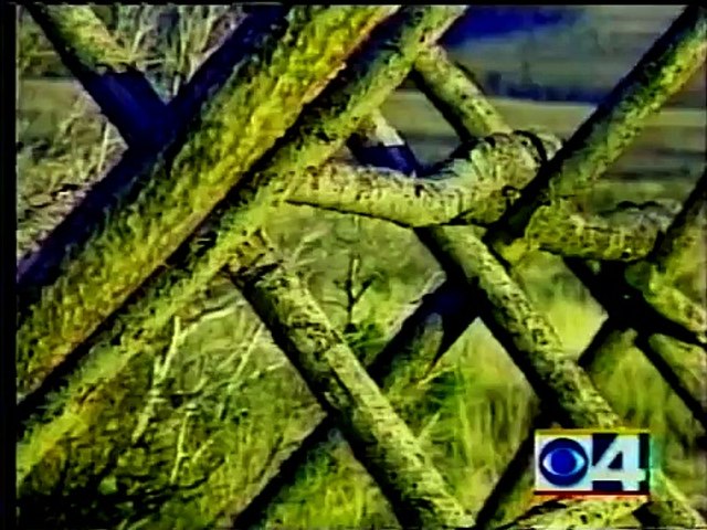 Matthew Shepard News Video (Interview with Rulon Stacey)