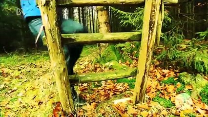 Angriffe durch Jagdhundemeute des Schleppjagdverein von Bayern e. V.