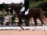 Marco Bernal at Dressage -Holiday & Horses