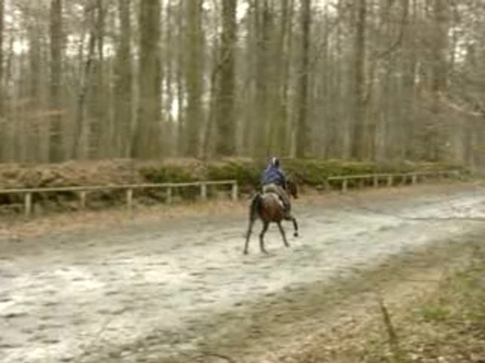 22.2.2007 => Grand galop de Nep - course