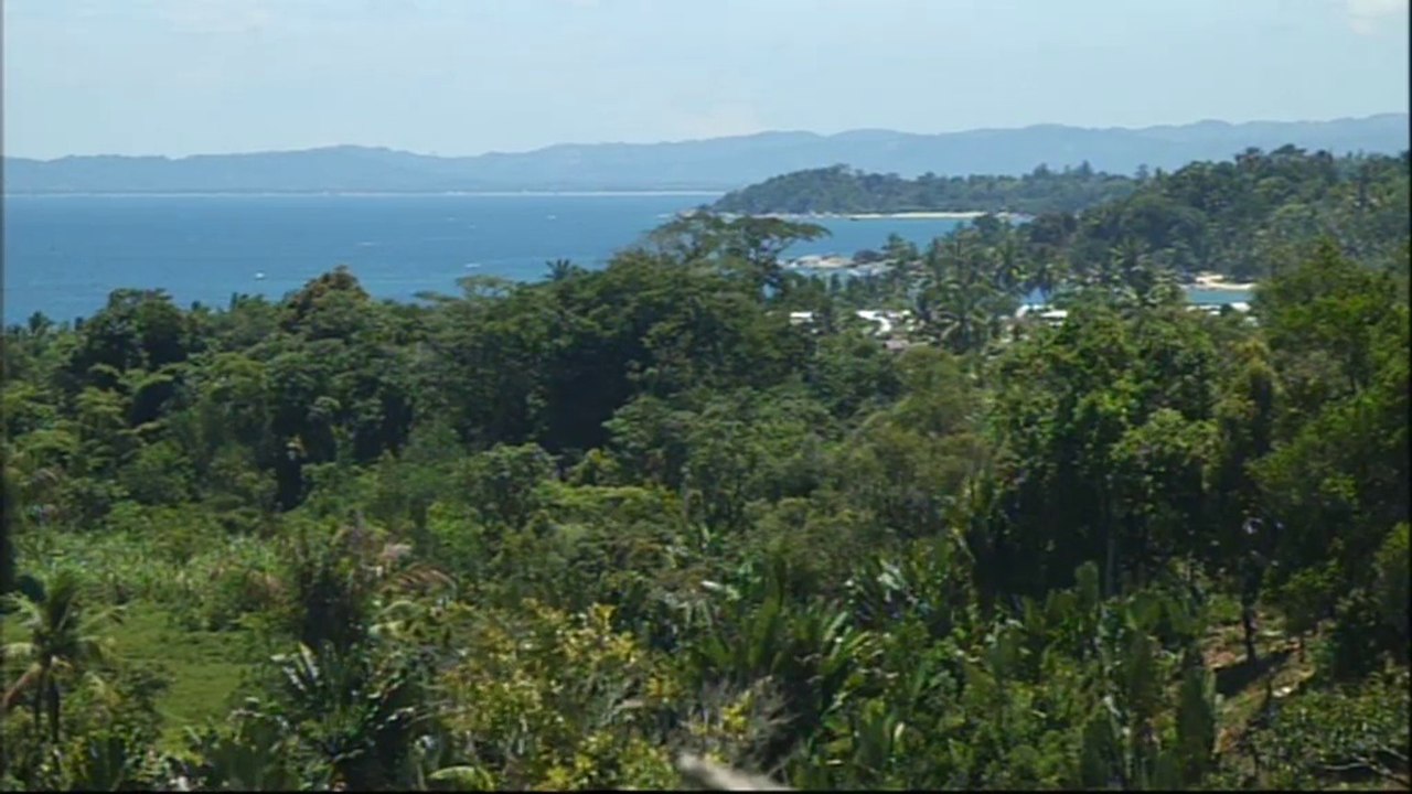 Sur la route de la vanille à Madagascar