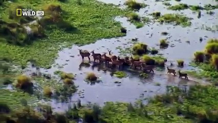 Wild Nile Paradise Found National Geographic S01E01