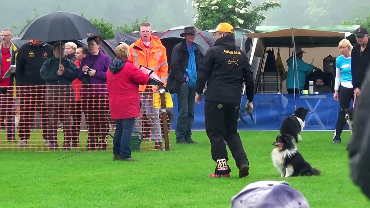 Dog Race Competition # Part - XI