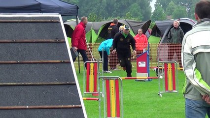 Dog Race Competition # Part - XII