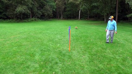 Dog Race Competition # Part - XV