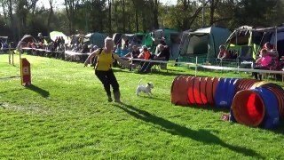 Dog Race Competition # Part - XXVII
