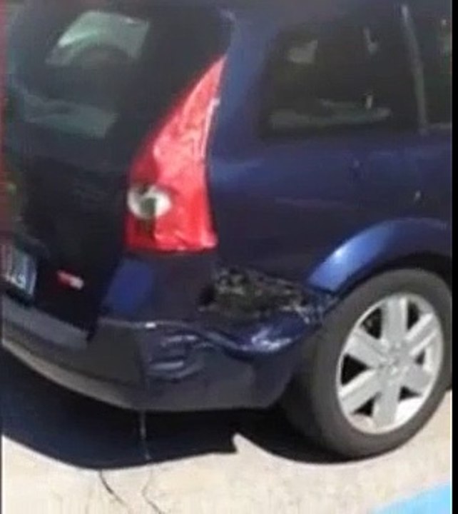 Renault Megane fondue