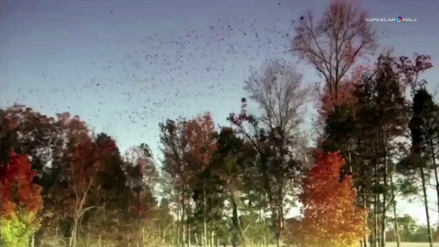 2013 Volkswagen Blue Factory Chattanooga - the green factory