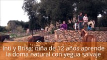 Inti y Brisa, 1º sesión: niña aprende la doma natural con yegua salvaje, ganar la confianza