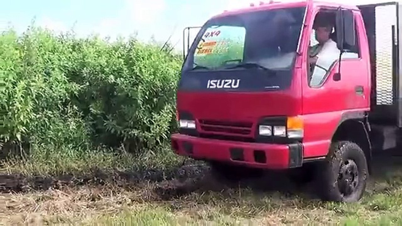 ISUZU NPR (4X4) FLORIDA 4WD  OFF ROAD TEST