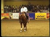 LAREDO WHIZ under Dennis Schulz  - DAINMASA Horses - 10.000 $ open NRHA Champion 2009 Roleski