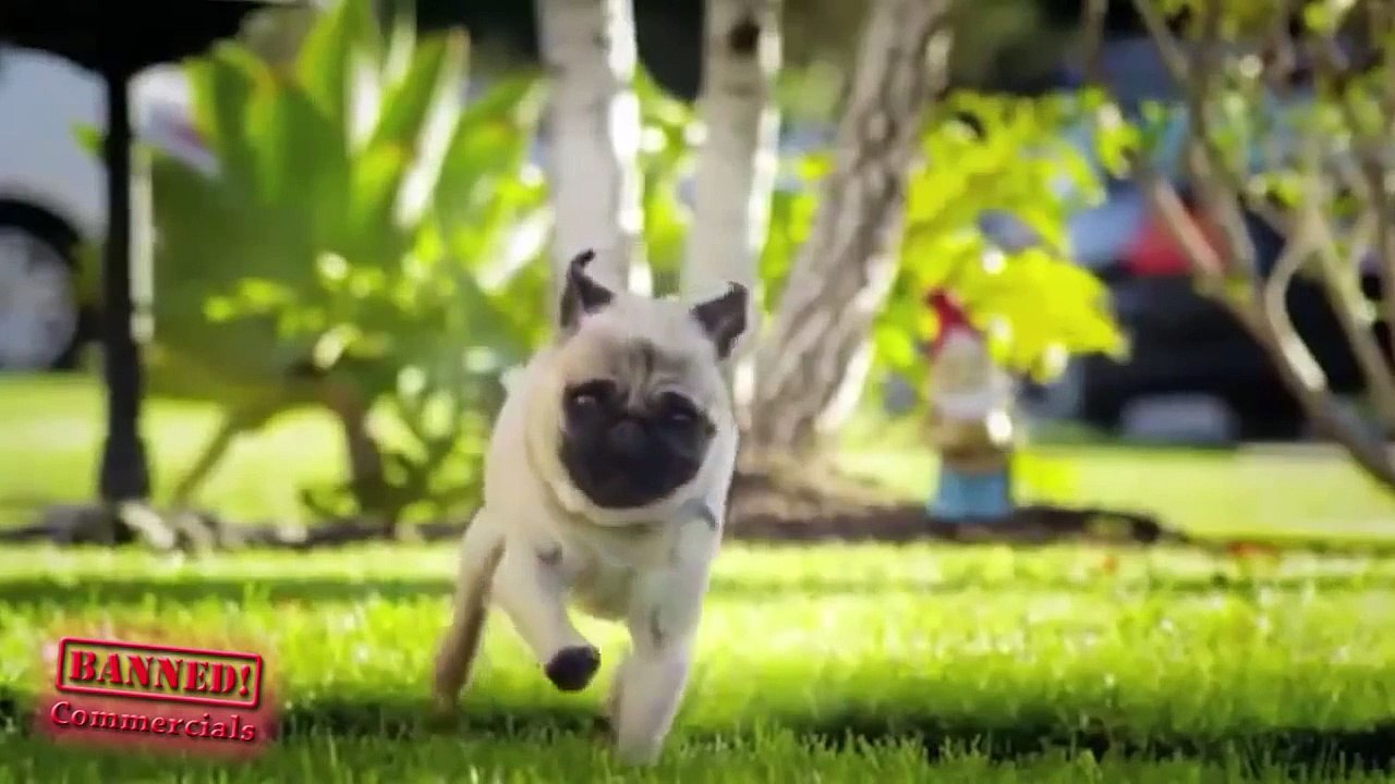 BEST Doritos Commercials OF ALL TIME