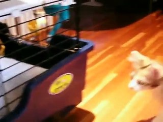 Elizabeth Vol.25 July 12, 2007