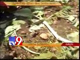Wild elephants destroy crops, attack people in Chittoor - Tv9
