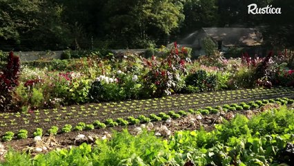 Organiser un potager