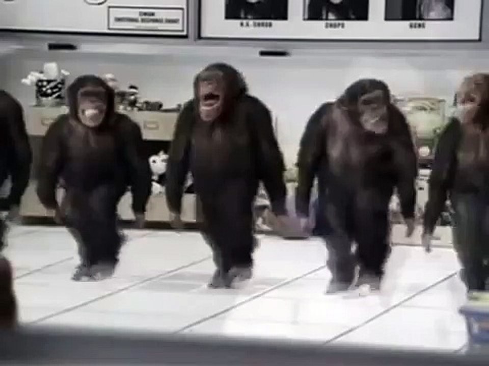 Undignified Dancing Monkeys
