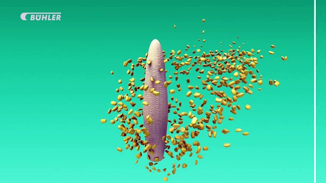 Bühler Group – SmartSnax DX Snacks Extruder