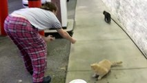 We were being nice and feeding stray cats at the gas station