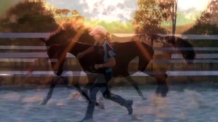 Natural horsemanship and trick training at sunset!