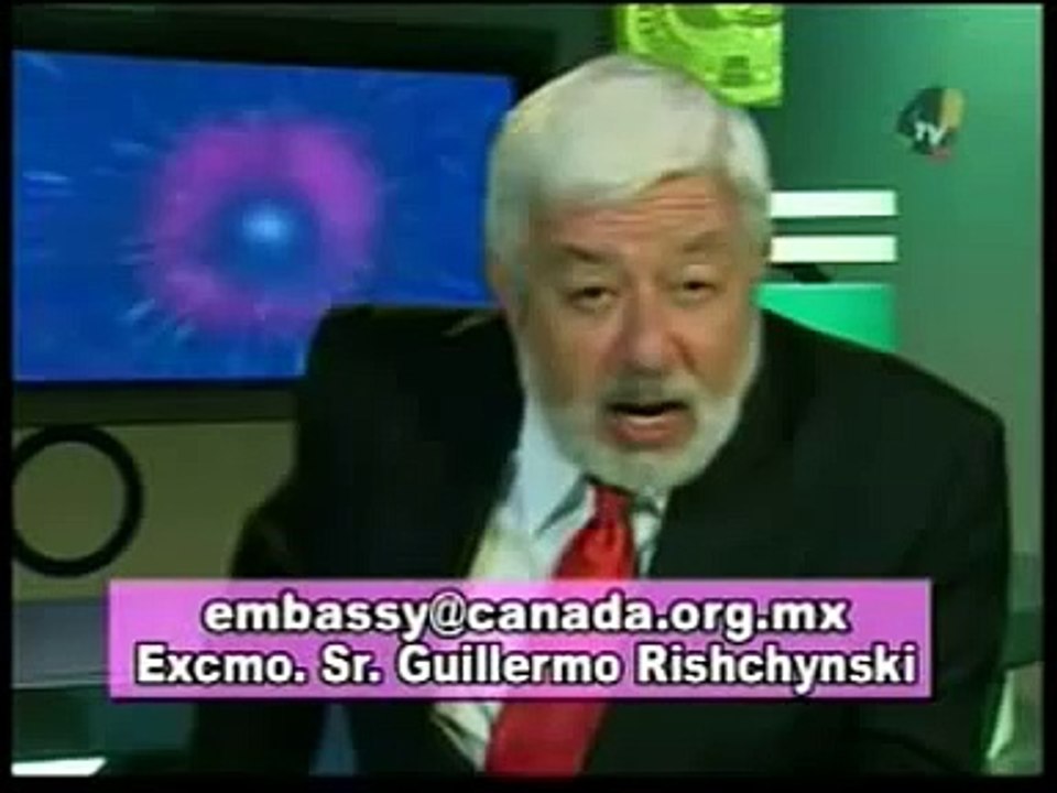 Matanza de Focas en Canadá