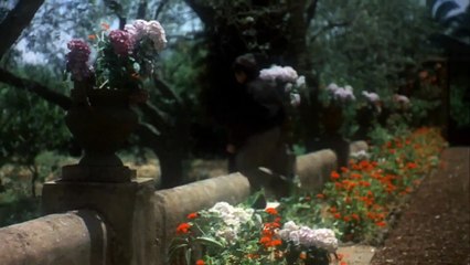 The Godfather  Part II