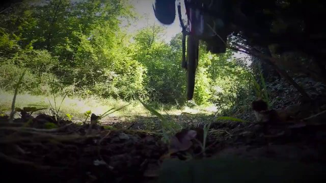 Sortie XC VTT Forêt de Fenioux (17) - Specialized Pitch 650b