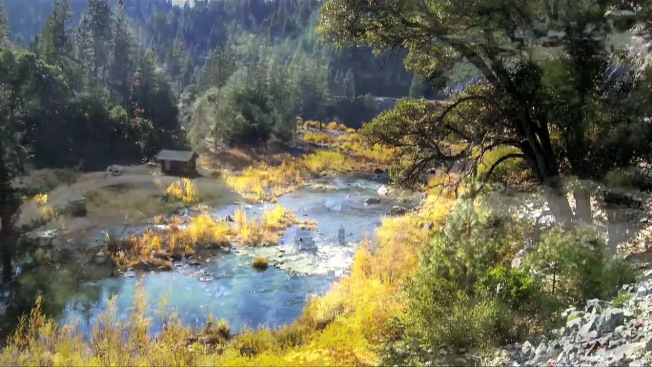 Excerpt From "Gold Rush Generation"
