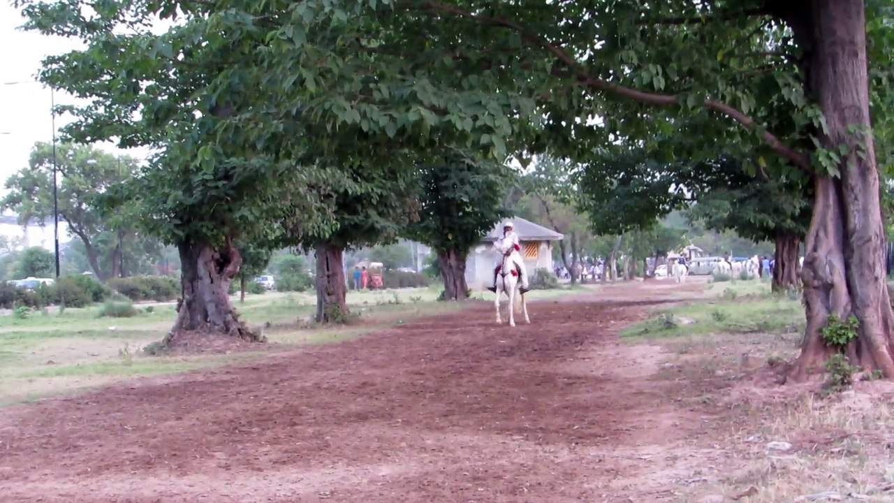 usman horse riding