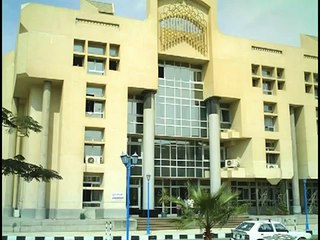 مشروع توسعة جامعة مصر للعلوم والتكنولوجيا د.هشام جريشة