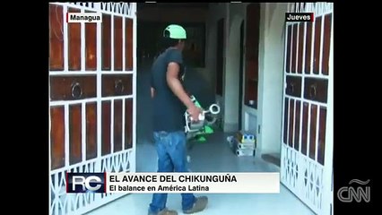 Cómo evitar contagiarte del virus chikunguña